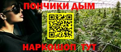 эйфоретик Обь