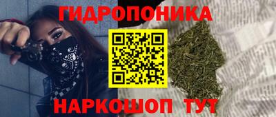 эйфоретик Обь
