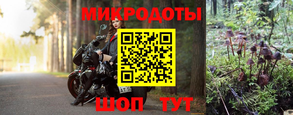 где найти   Галлюциногенные грибы Cubensis  Вход с VPN  Тверь 