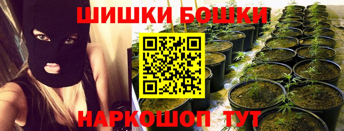 Бошки Шишки план Тверь